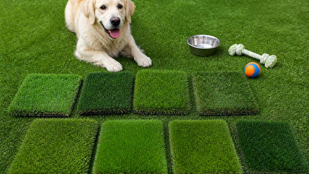 7 Best Artificial Grass Types for Dogs