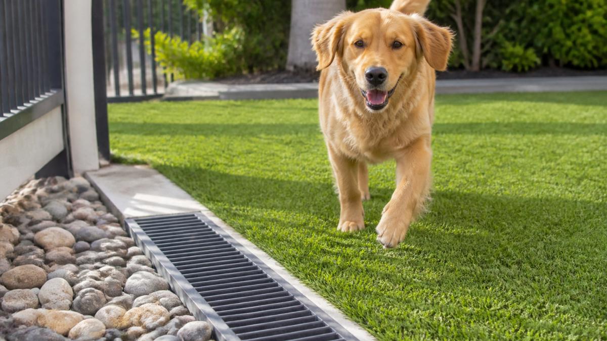 Artificial Grass Drainage and Pet Odor: A Complete Guide